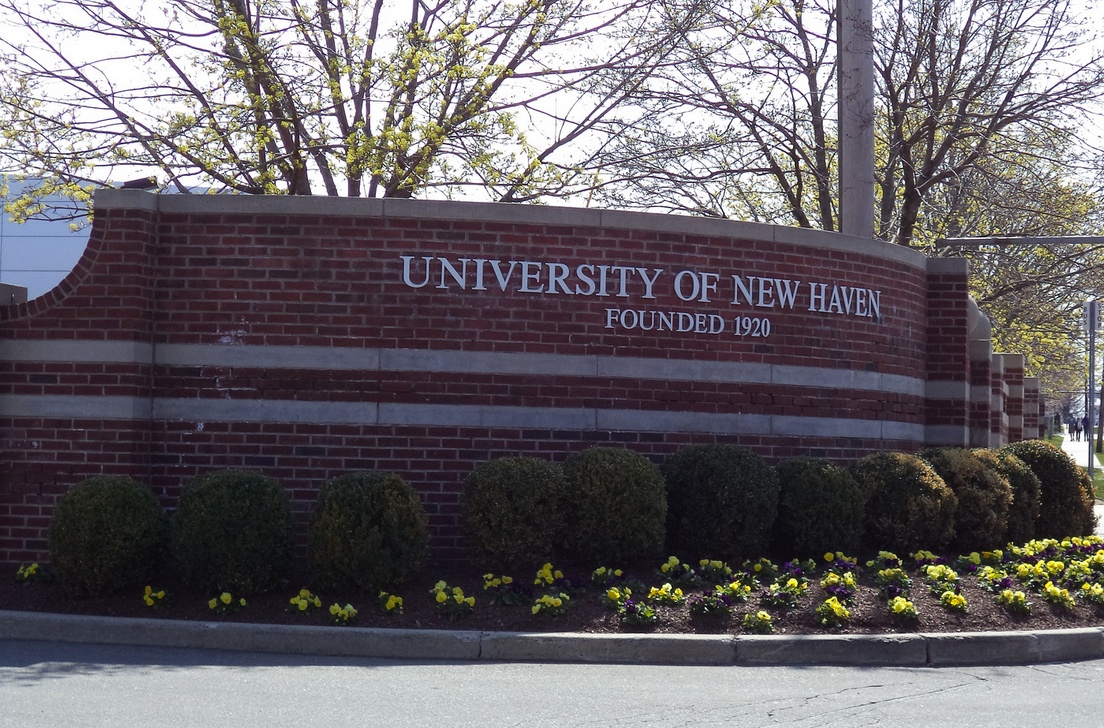 University of New Haven Ranking